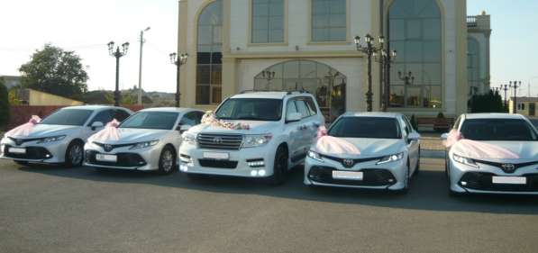 Аэропорт такси трансфер Самара, Сызрань, Саратов, Казань в Самаре фото 20