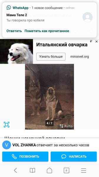 Продаём маленькую Немецкую овчарку в Воскресенске фото 6