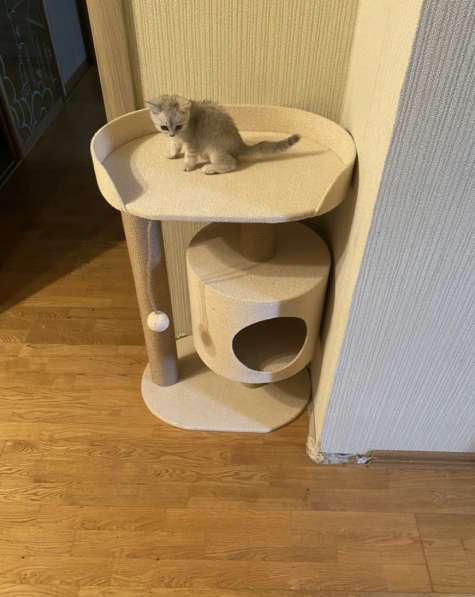 Домик для кошек