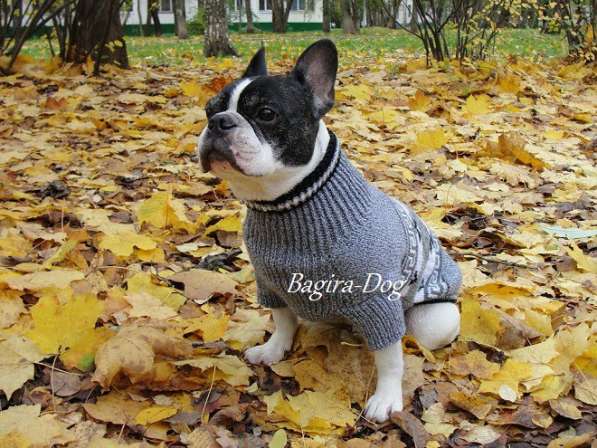 Свитера для собак ручной работы в Москве фото 25