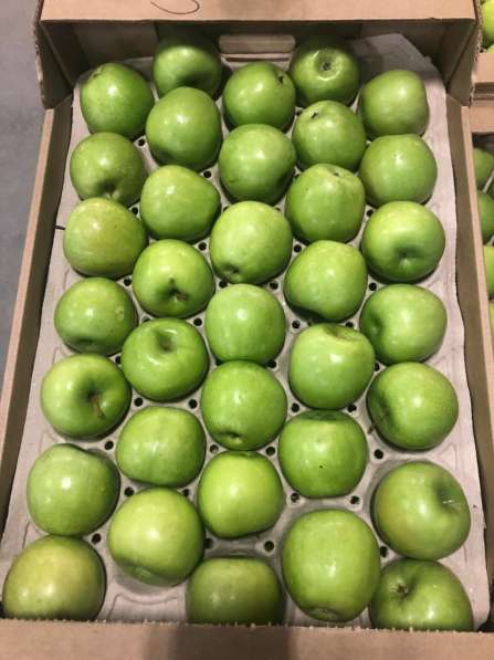 Яблоки Гренни Смит в Краснодаре