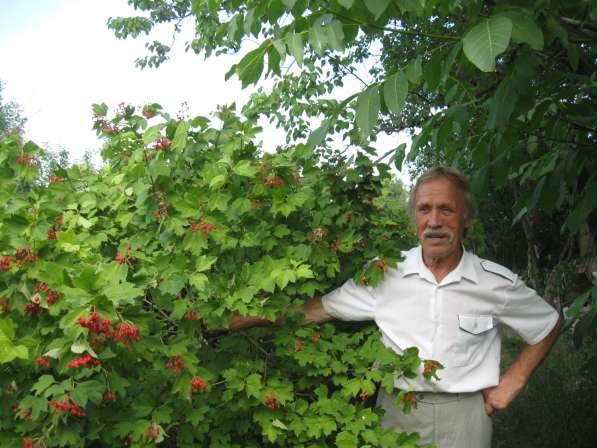 Валентин, 71 год, хочет пообщаться – Долой одиночество