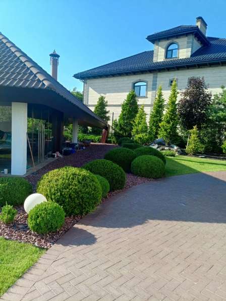 Ландшафтный дизайн. Озеленение