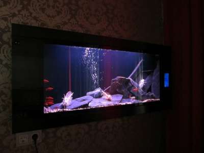 Настенный аквариум Himat серия WBB в Москве фото 4