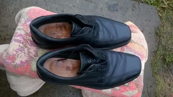 Мужские кожанные туфли ECCO