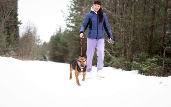 Добряк Стёпа ищет дом в Москве фото 3