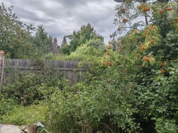 Дача СНТ ФИАЛКА в Омске фото 4