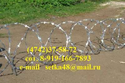 Егоза колючая проволока в Липецке фото 3