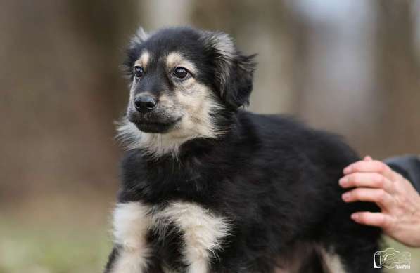 Малышка Юста ищет своих добрых людей в Калуге фото 6