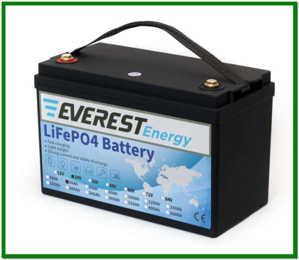 Everest Energy LFP-24V50А в Санкт-Петербурге