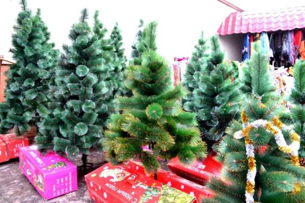 Новогодние живые елки, сосны, искусственные елки оптом в Новосибирске
