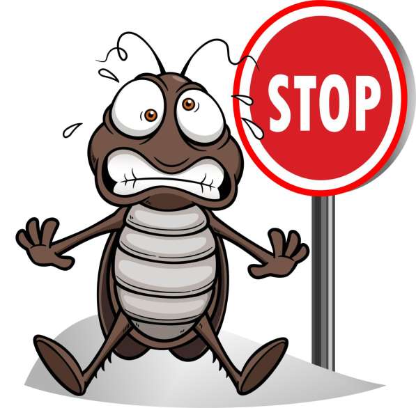 Травлю тараканов. С гарантией до 3 лет. Профессионально