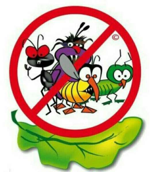 Избавим Вас от насекомых и грызунов и тд в Москве фото 4