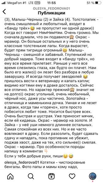 Бенгальские котята в Екатеринбурге фото 10