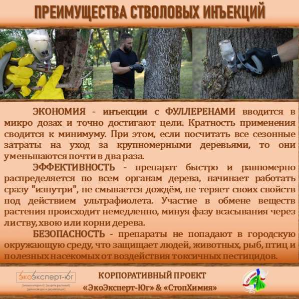 СИСТЕМА УПРАВЛЕНИЯ ФИТОСАНИТАРНЫМ СОСТОЯНИЕМ ЭКОСИСТЕМ в Сочи фото 22