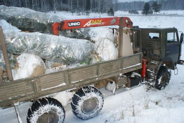 Услуги Камаз -Батыр вездеход 6х6 10 тонн в Красноярске фото 5