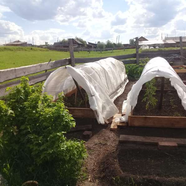 Продам Дом в с. Покосное в Братске фото 6