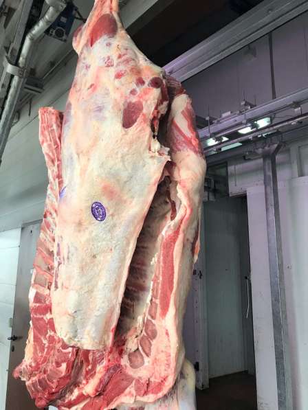 Мясо говядины в Екатеринбурге