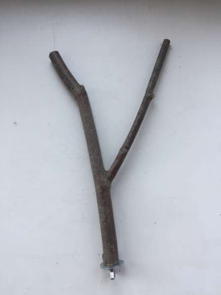 Жердочки для птиц в Екатеринбурге фото 15