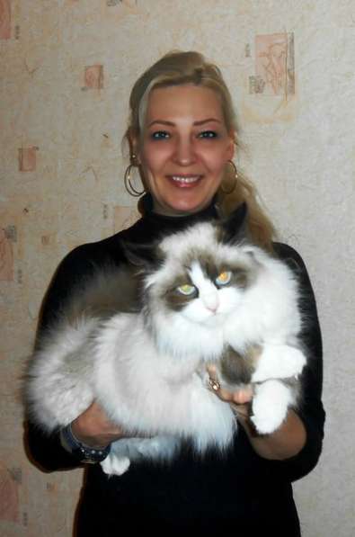 Невские маскарадные котята в фото 11
