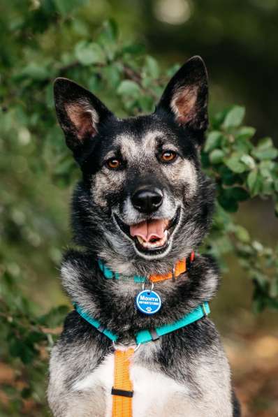 Монти ждёт своего человека