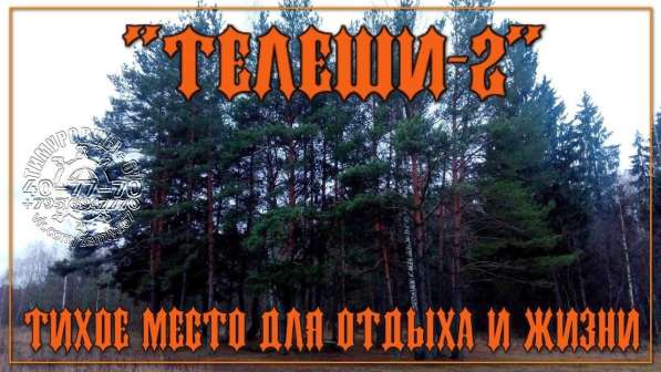 Лучшие участки, ИЖС на Смоленщине, с коммуникациями в Смоленске фото 12