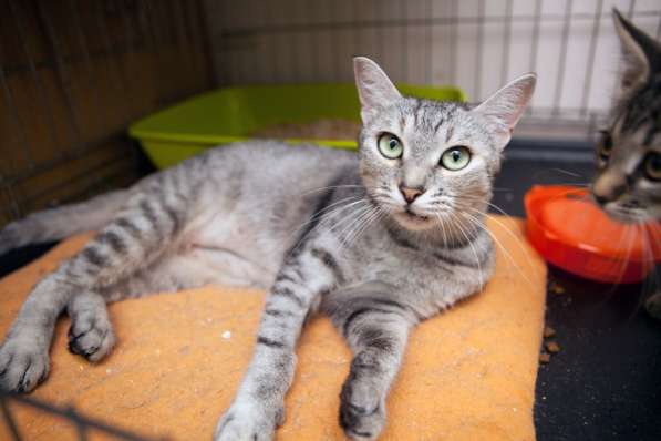 Стильная Диор мечтает о семье в Москве