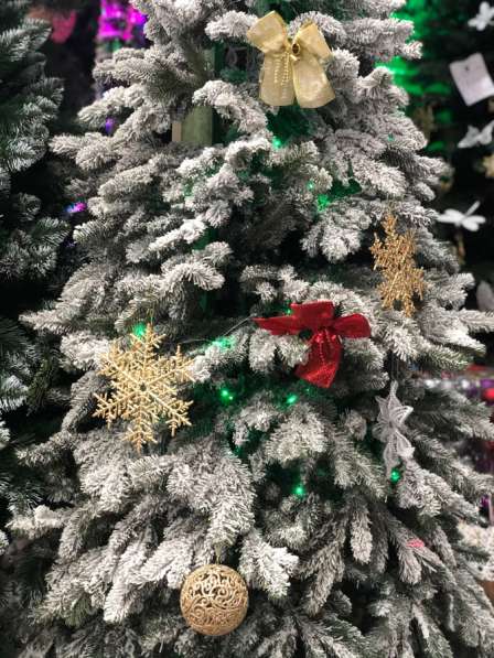 Пышные Ёлочки в Москве фото 5