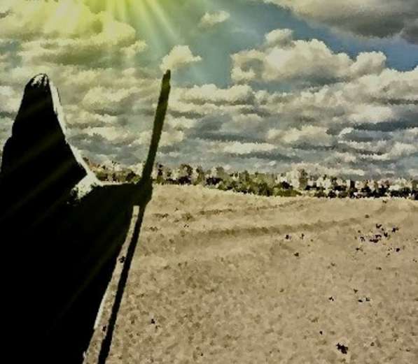 Ищу спонсоров для публикации романа в Москве фото 5