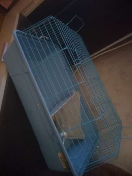 Клетка для кролика туалет, поилка в Челябинске