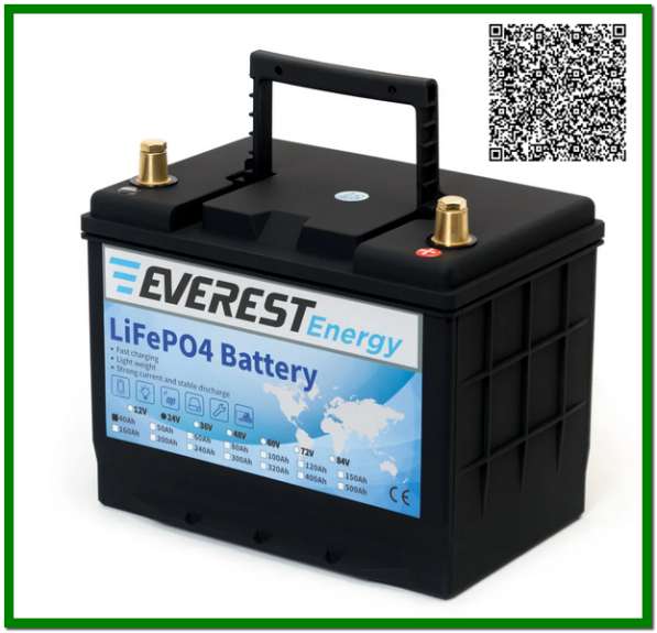 Everest Energy LFP-24V40А в Санкт-Петербурге