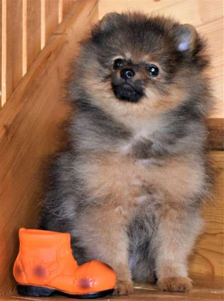 Очаровашка в Одинцово фото 13