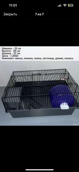 Сирийские и джунгарские хомяки с клетками в Москве