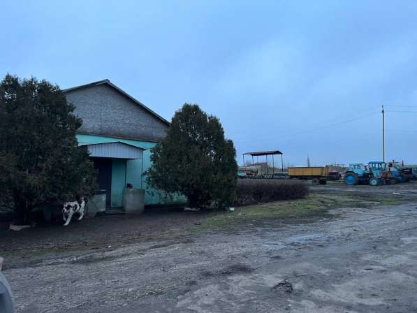 Агрохозяйство 452 гектара, Старобешево в 