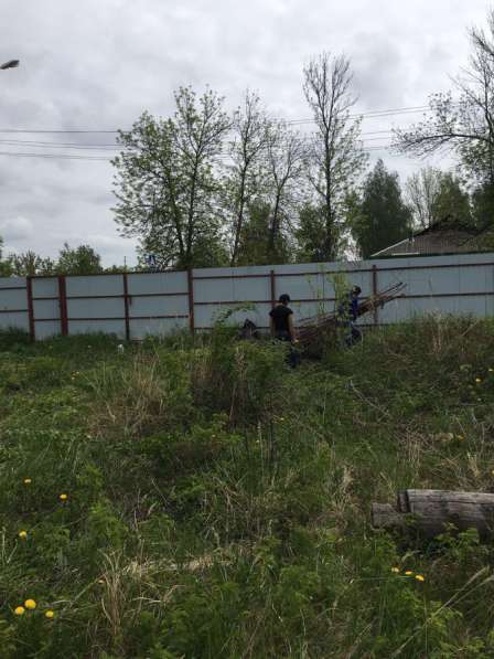 Земельный участок со срубом в Шатуре в Шатуре фото 3