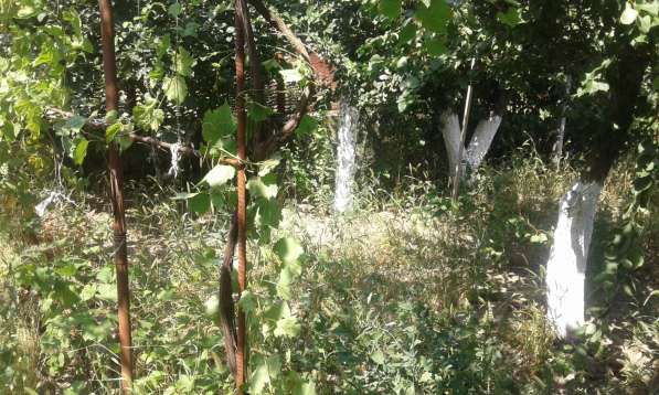 Срочно Продам дом (дача) в фото 26