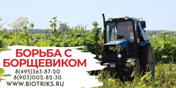 Обработка участков от клещей, борщевика в Истре в Истре фото 5