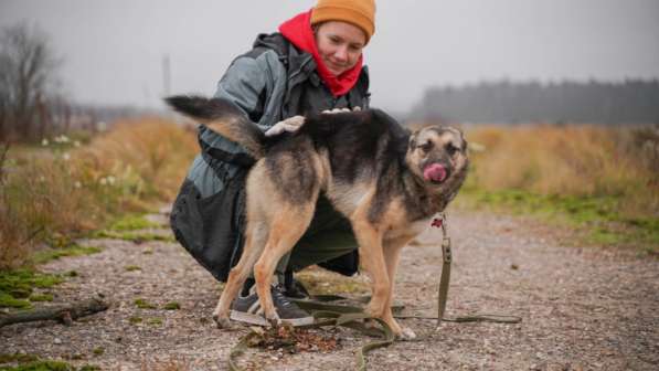 Потешная Рони в Москве фото 12