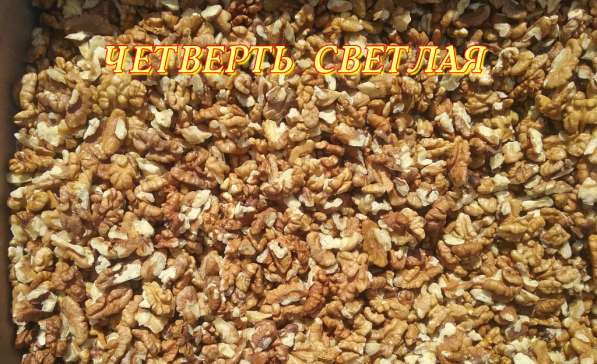 Орехи грецкие чищенные в Сочи фото 5