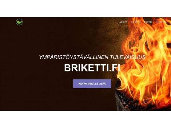 Vaalea Standardi Puubriketti в фото 9