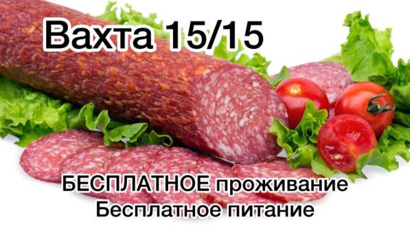 Вахта в Москве 15/15 ПРОЖИВАНИЕ, Питание упаковщик