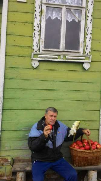 Владимир, 58 лет, хочет познакомиться в Нижнем Новгороде фото 3