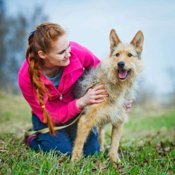 Трогательный Чарлик ищет дом в Москве фото 50