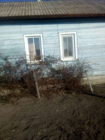 Продам дом в сельской местности в Егорлыкской фото 3