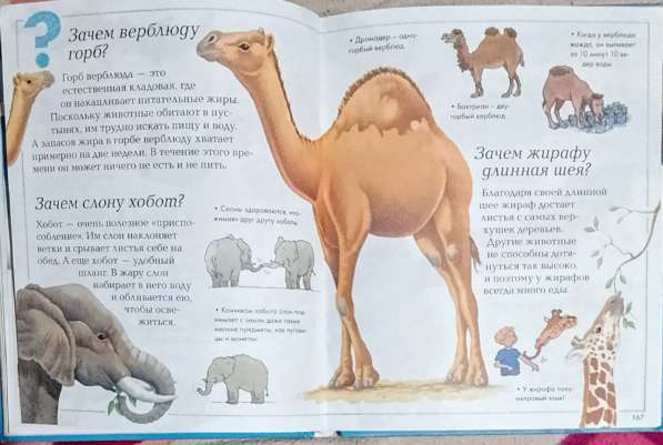 Энциклопедия для любознательных. Продаю книгу в фото 40