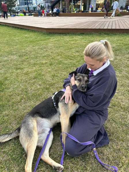 -Москва, услышьте зов Персея! в Москве фото 5