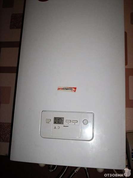 Настенные газовые котлы Protherm Пантера в Саратове фото 3