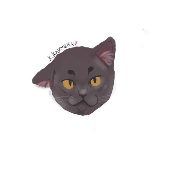 Рисунок домашнего животного