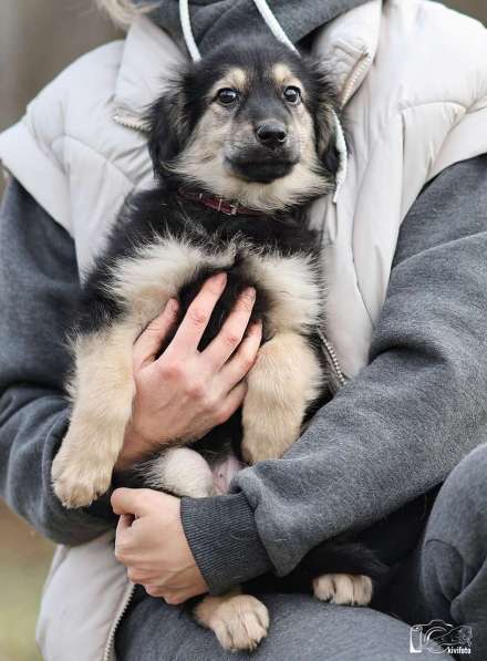 Малышка Юста ищет своих добрых людей в Калуге