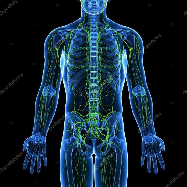 Костоправ, Мануальный Терапевт, Остеопат в Краснодаре фото 3